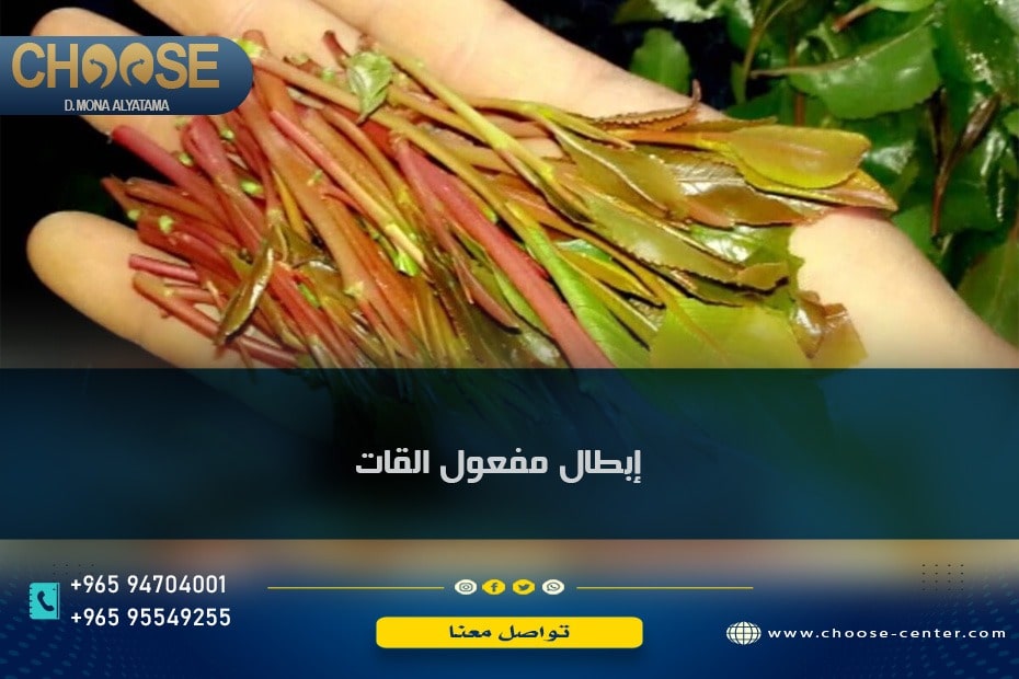 إبطال مفعول القات